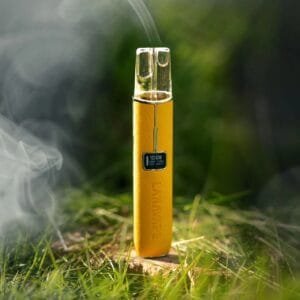 LANA皮革主機橙色