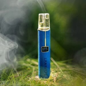 LANA皮革主機藍色