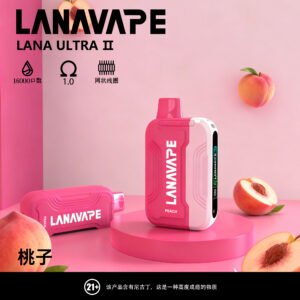 LANA16000口拋棄式電子煙