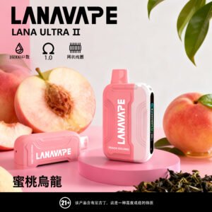 LANA16000口拋棄式電子煙