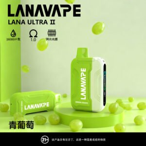 LANA16000口拋棄式電子煙